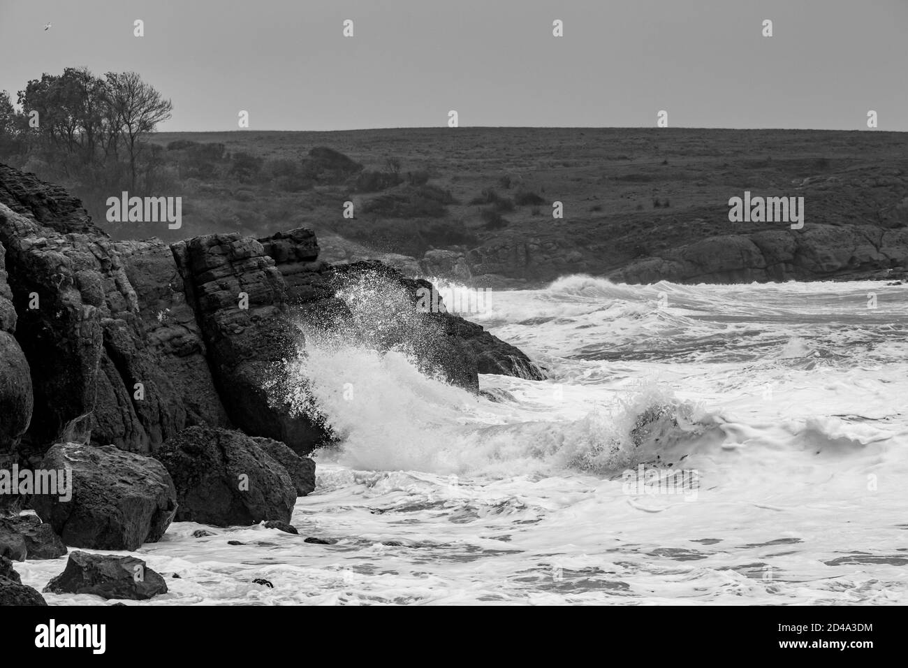 Sombre moody paysage d'automne paysage marin, orageux Mer Noire, Bulgarie. Vagues de mer éclaboussant et temps froid et venteux. Impression noir et blanc Banque D'Images