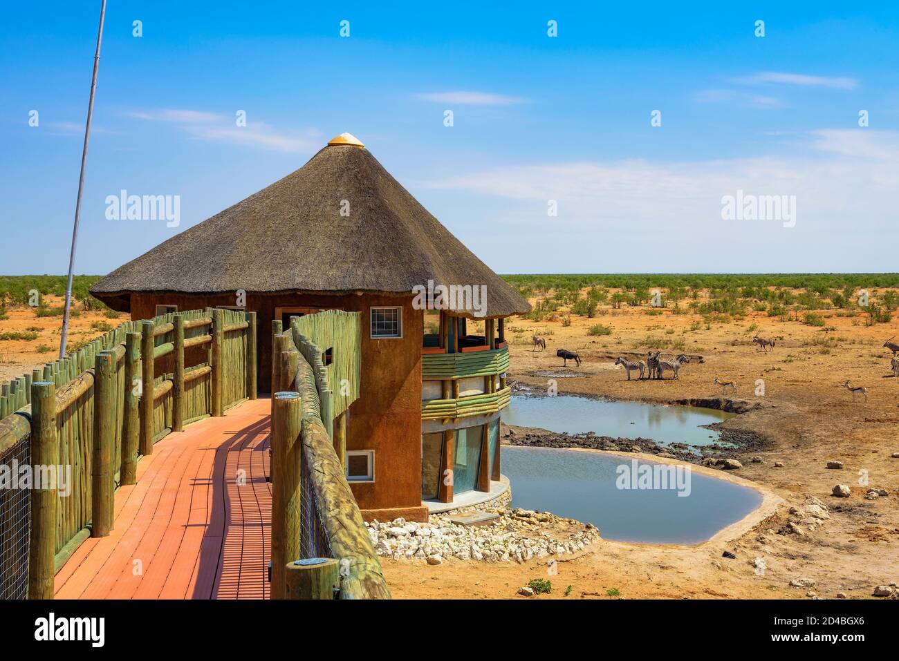 Terrasse d'observation des animaux dans le parc national d'Etosha, Namibie Banque D'Images