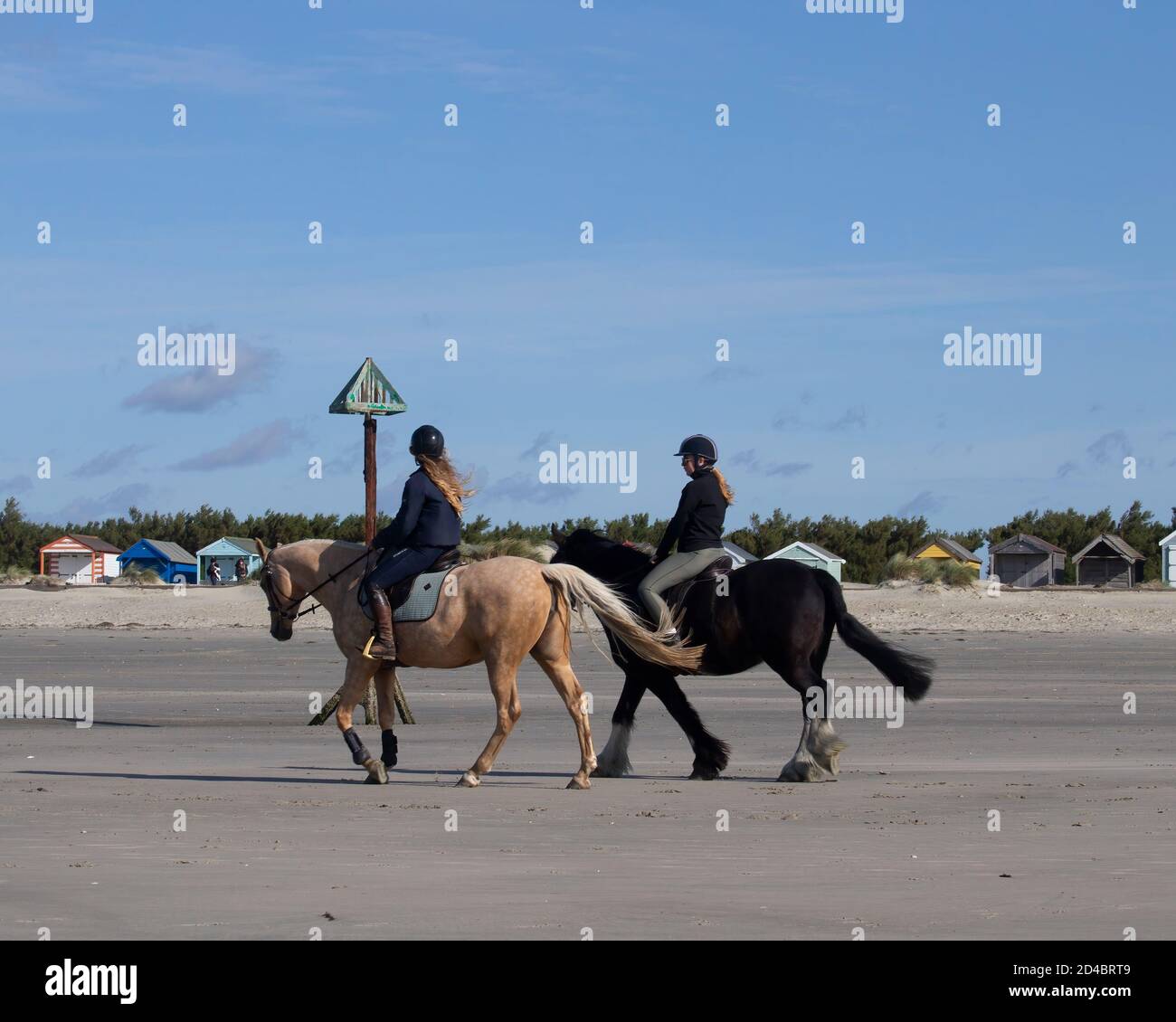 Les cavaliers exercent leurs chevaux sur la plage de West Wittering Sur la côte ouest du Sussex Royaume-Uni Banque D'Images