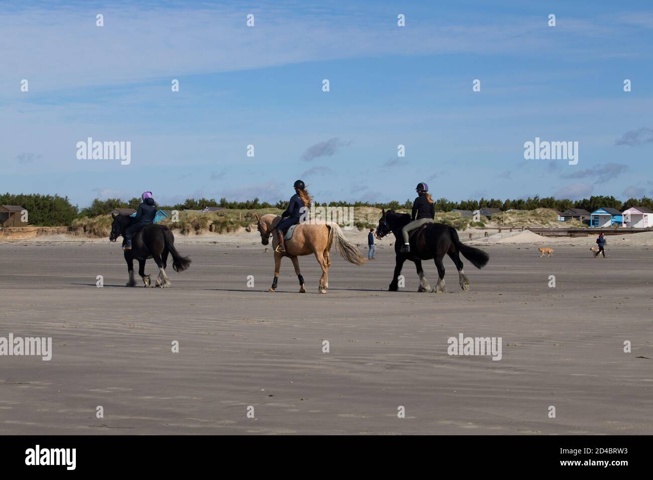 Les cavaliers exercent leurs chevaux sur la plage de West Wittering Sur la côte ouest du Sussex Royaume-Uni Banque D'Images