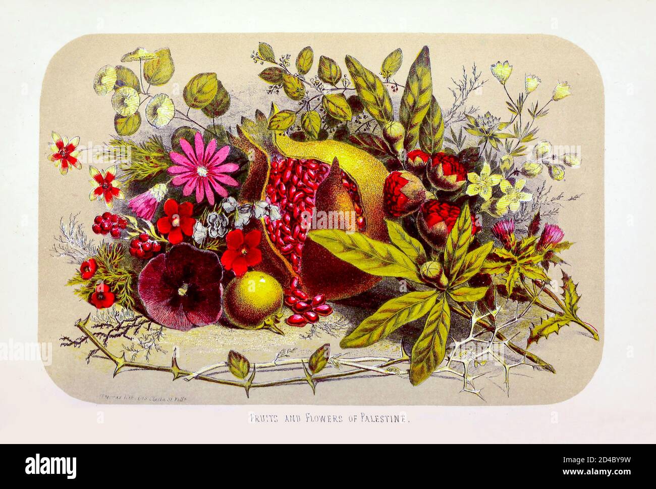 Imprimé fleuri nom on sale