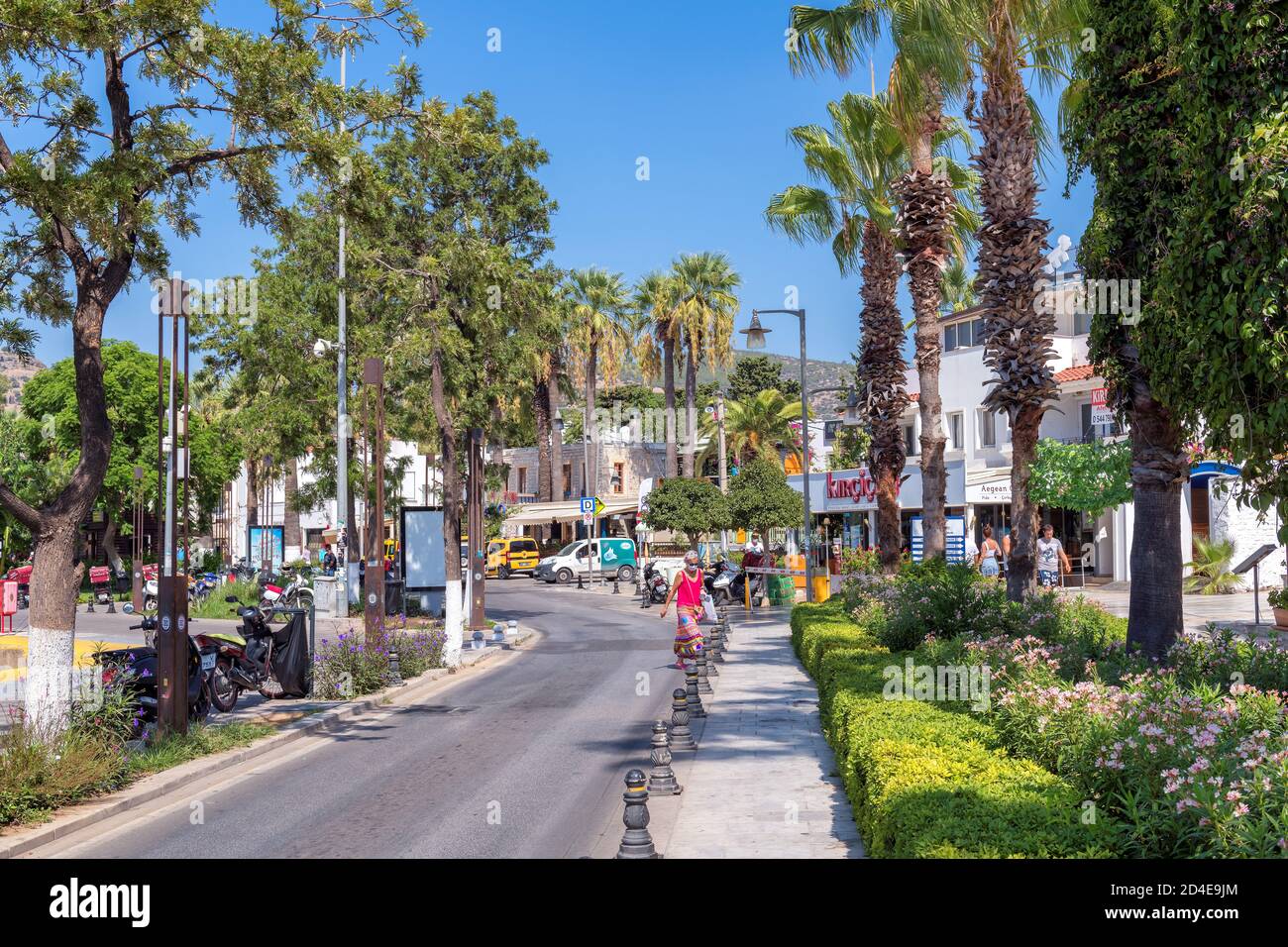 Belle rue de Bodrum avec des hôtels, des restaurants, des boutiques et de hauts palmiers Banque D'Images
