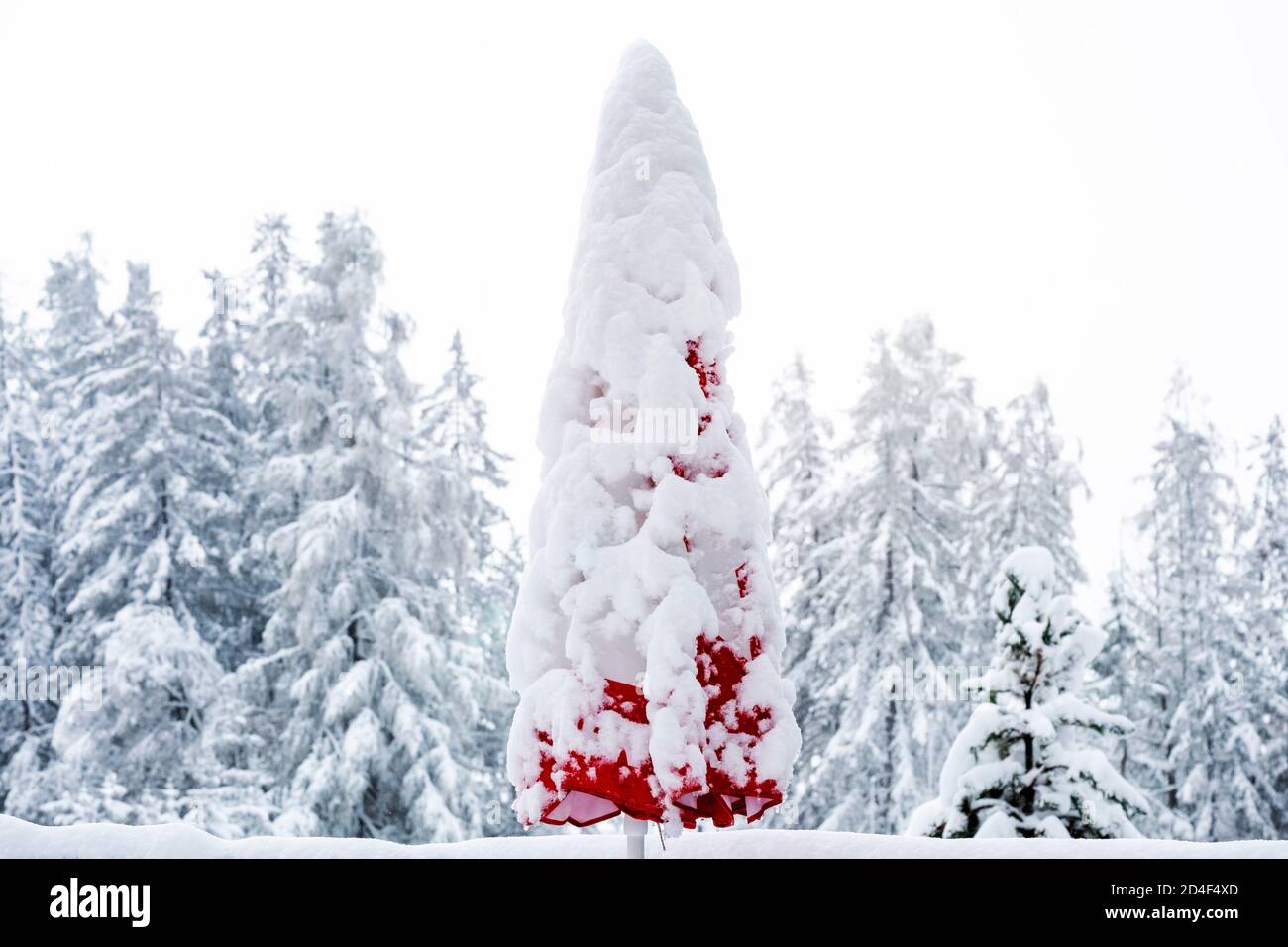 Début de l'hiver à Earlsy. Pare-soleil d'été rouge fermé recouvert de neige fraîche devant les sapins enneigés et le ciel couvert. Banque D'Images
