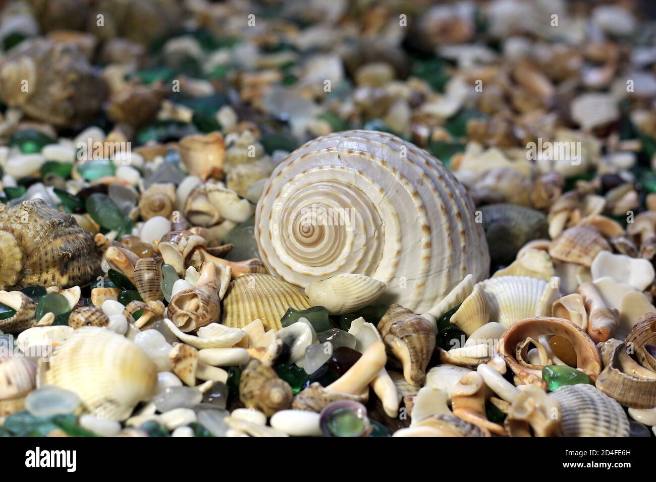 coquillages avec verre sur la plage Banque D'Images