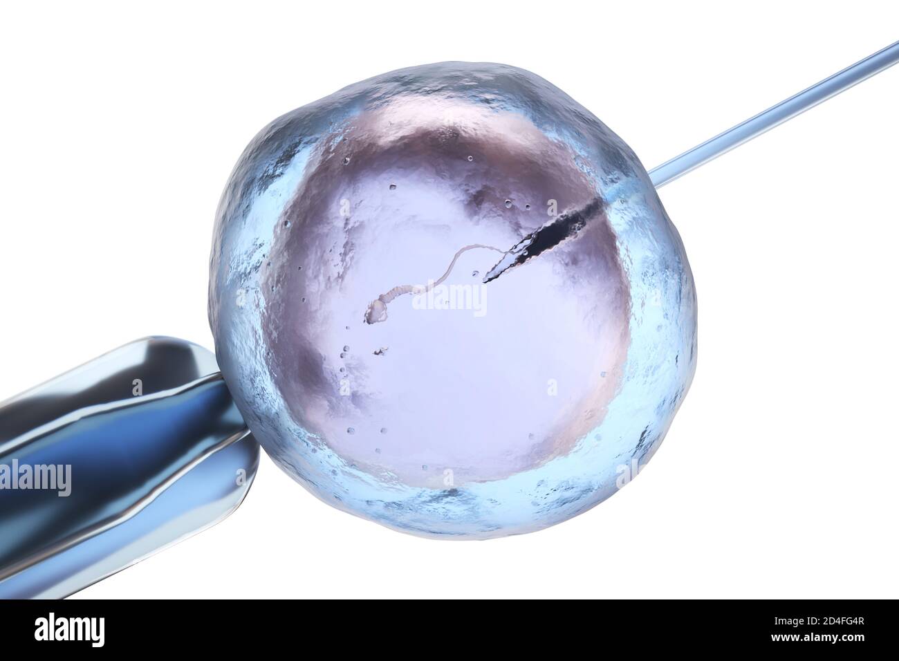Insémination artificielle ou fécondation in vitro. Illustration tridimensionnelle Banque D'Images