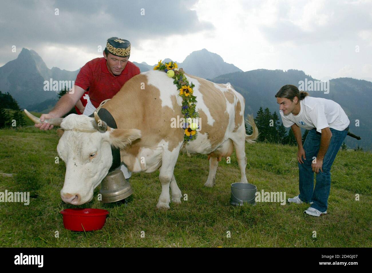 Le champion de Wimbledon Roger Federer (R), avec un tabouret de traite  attaché, regarde de près sa Juliette de vache tandis que la fromagerie  Hanspeter Reust (L) tient l'animal encore sur Alp