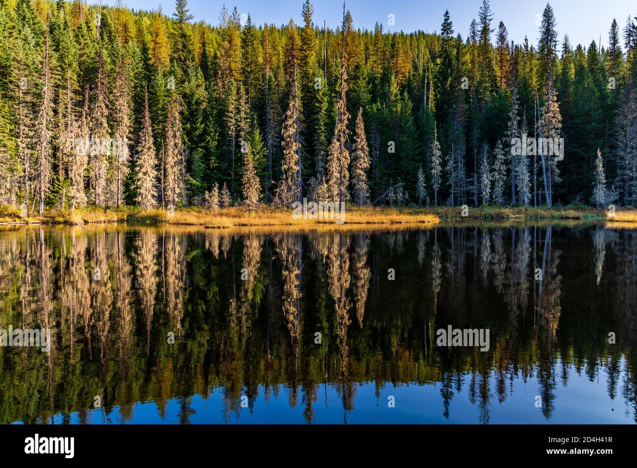 Huff Lake, dans le comté de Pend oreille, État de Washington Banque D'Images