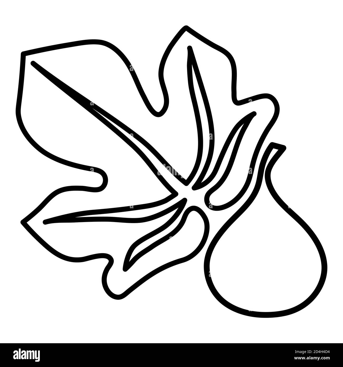 Style de contour des icônes vectorielles de la Fig sur fond blanc Illustration de Vecteur