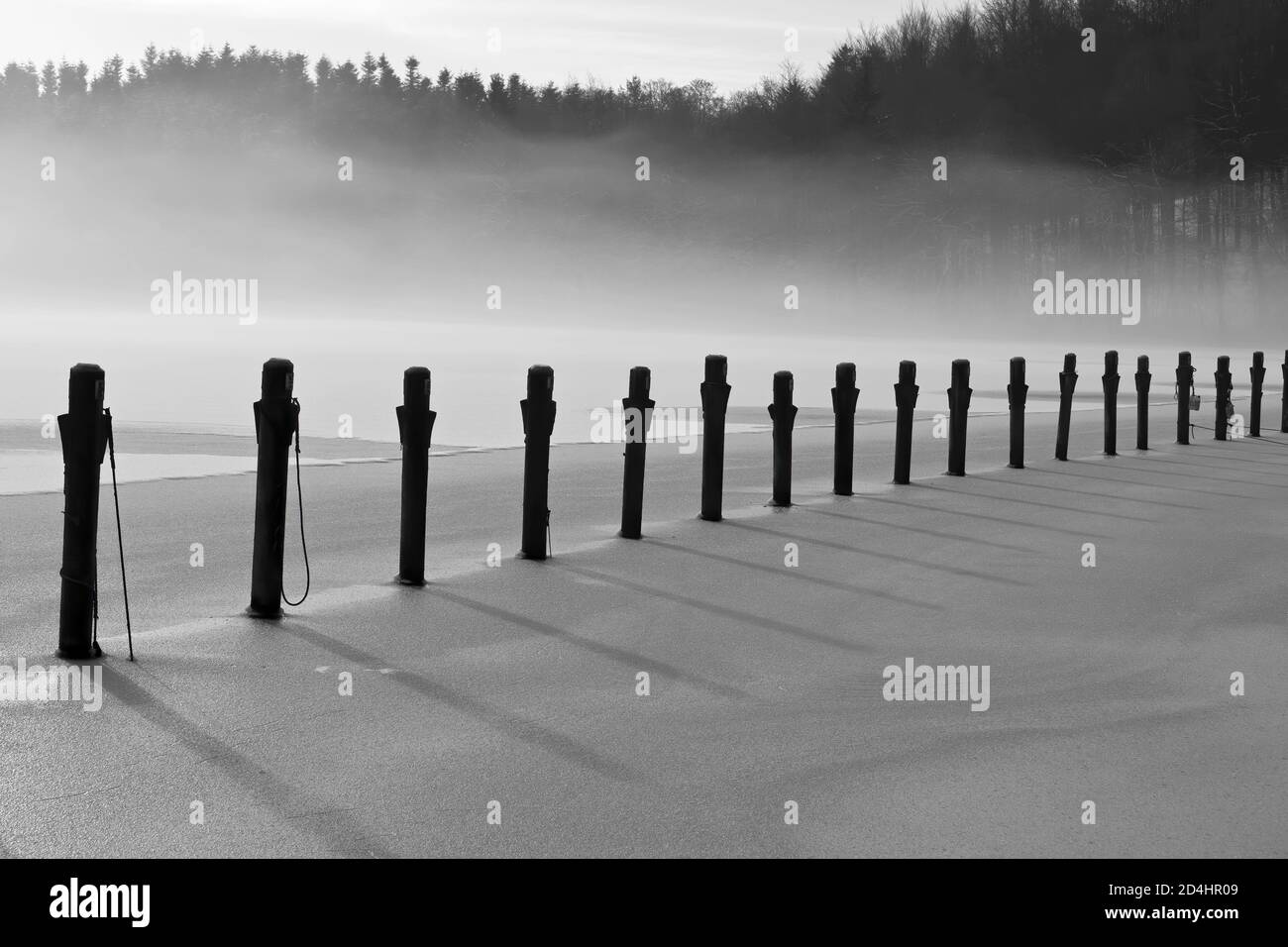 Photo noir et blanc des poteaux d'amarrage dans la glace Banque D'Images