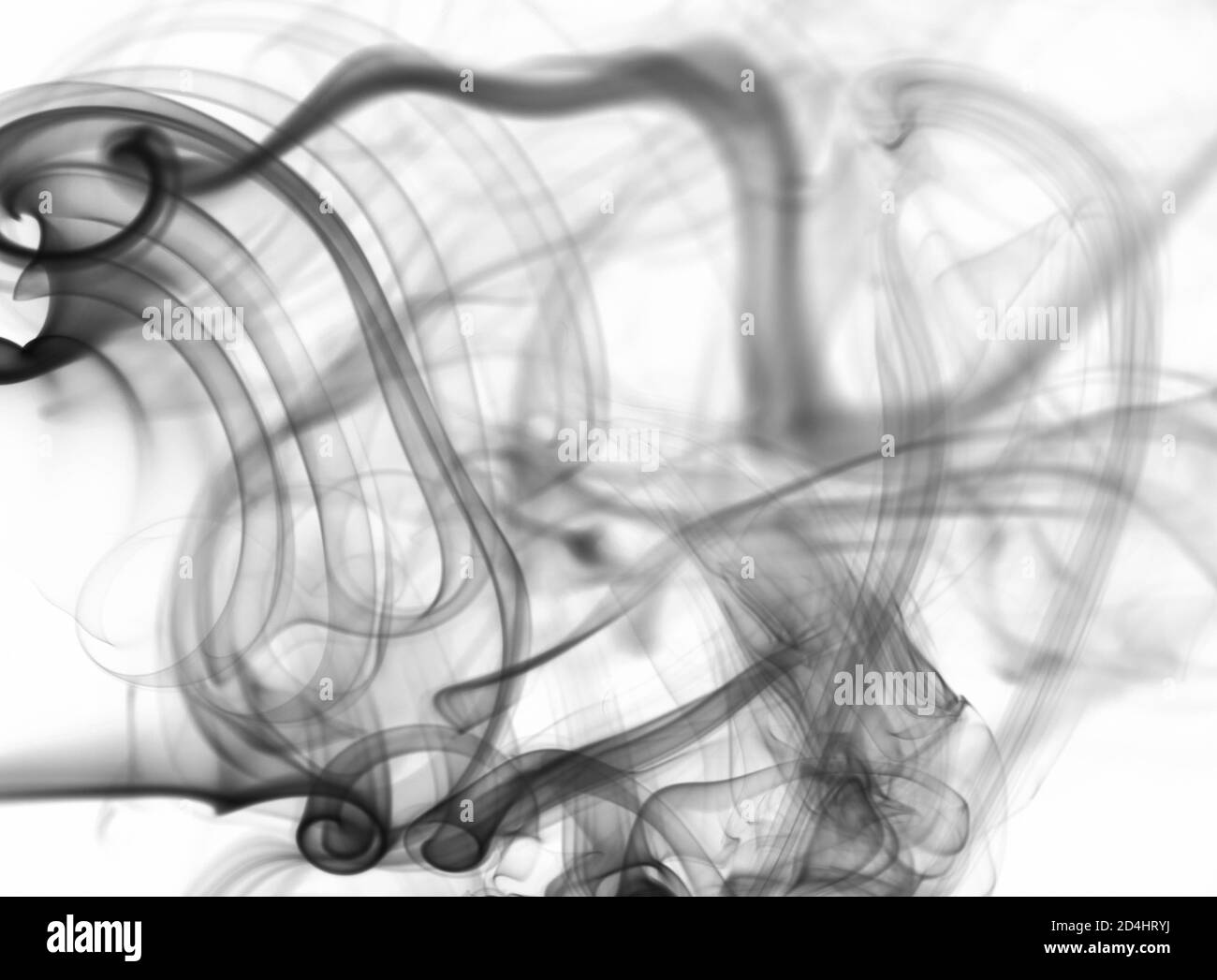 Arrière-plan abstrait noir transparent fumée sur fond blanc. Nuage de la courbe de fumée mystère Banque D'Images