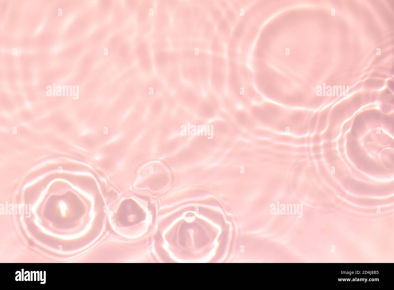 rose transparent eau transparente texture de surface été fond Banque D'Images