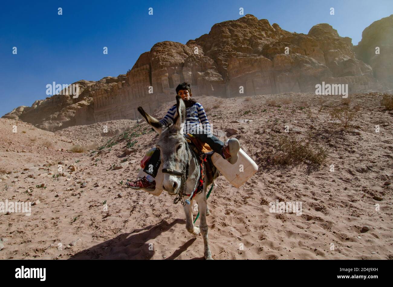 Un garçon bédouin jordanien qui fait un âne à Petra, en Jordanie, est également connu sous le nom de ville Rose-Rouge de Jordanie. Banque D'Images