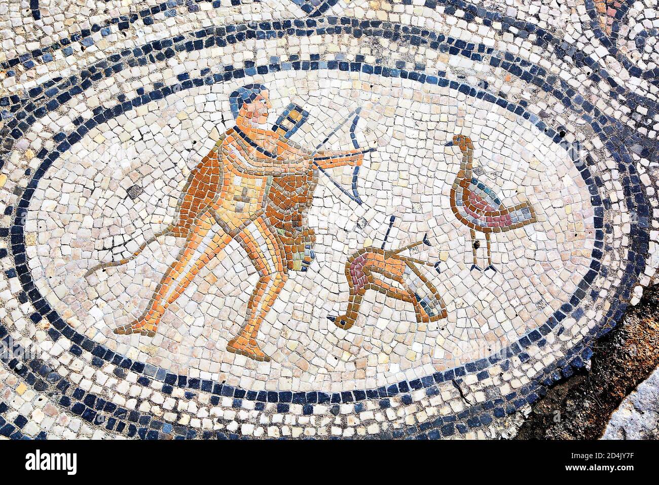 Sixième travail d'Hercules, mosaïque de Volubilis, ancienne ville romaine au Maroc Banque D'Images