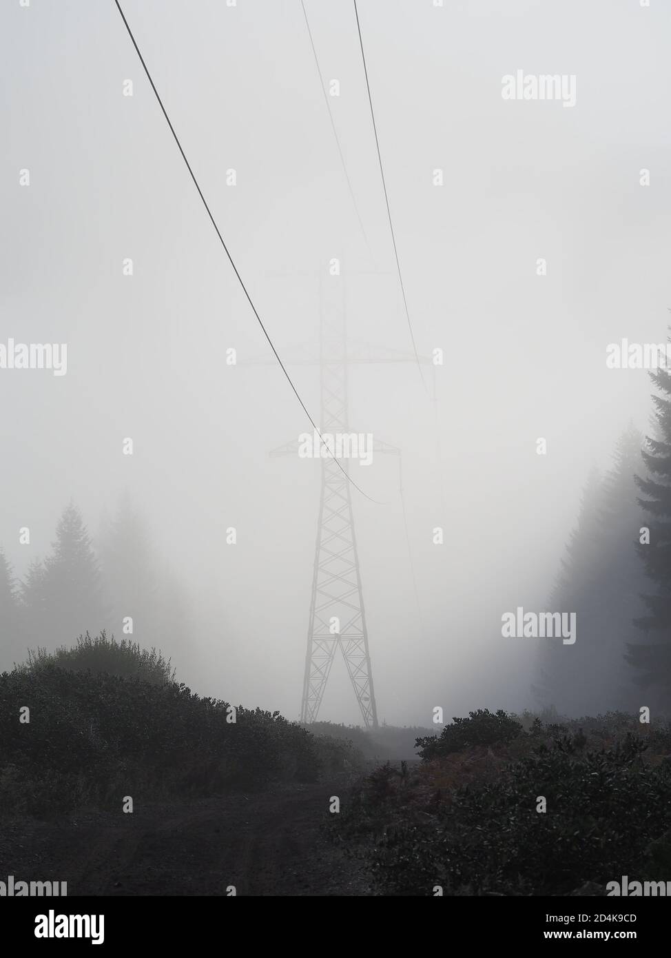 Brouillard, tour de transmission, lignes électriques Banque D'Images