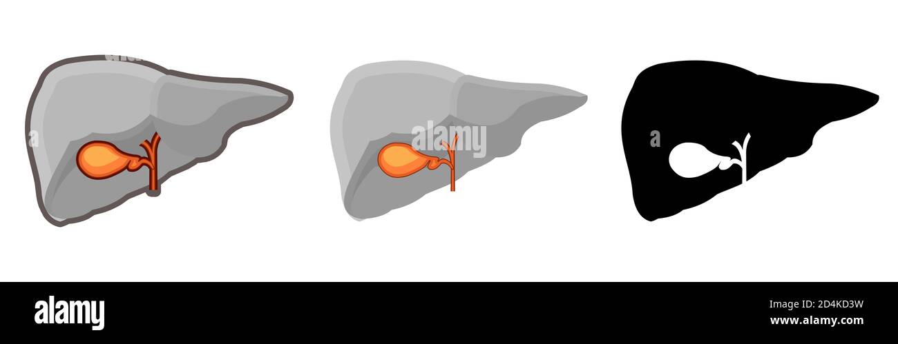 Vésicule biliaire humaine saine. Entier. Définir. Image couleur et icône monochrome. Une série d'illustrations sur les organes internes. Objet vectoriel isolé sur un Banque D'Images