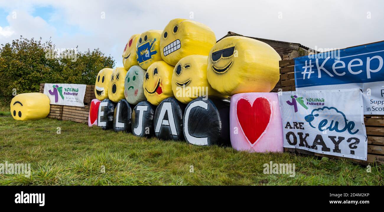 Balles de foin originales, Bale art 2020, collecte de fonds pour la charité par les jeunes agriculteurs, Athelstaneford Farm, East Lothian, Écosse, Royaume-Uni Banque D'Images