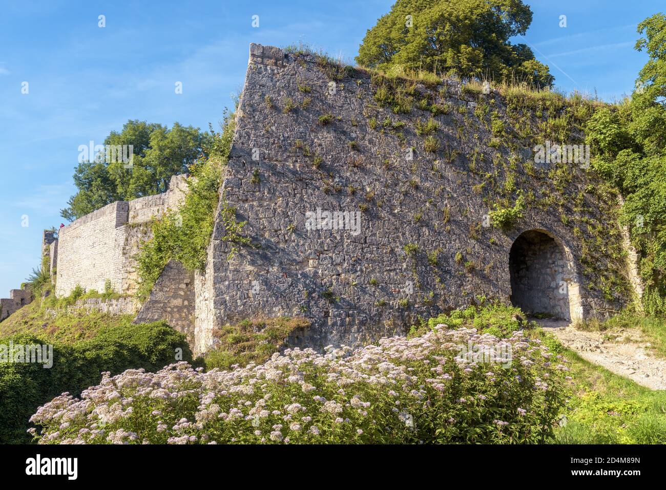 Château de Hohenurach près de la vieille ville de Bad Urach, Allemagne. Les ruines surcultivées de ce château médiéval sont un point de repère du Bade-Wurtemberg. Entrée des abandonnés Banque D'Images