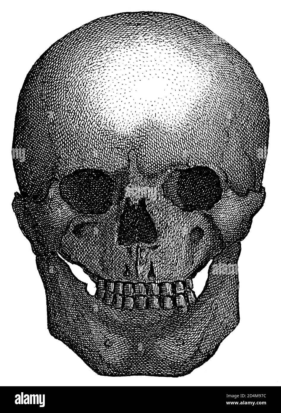 illustration du xixe siècle d'un crâne humain préhistorique. Publié dans Systematischer Bilder-Atlas zum conversations-Lexikon, Ikonographische Encyklopae Banque D'Images