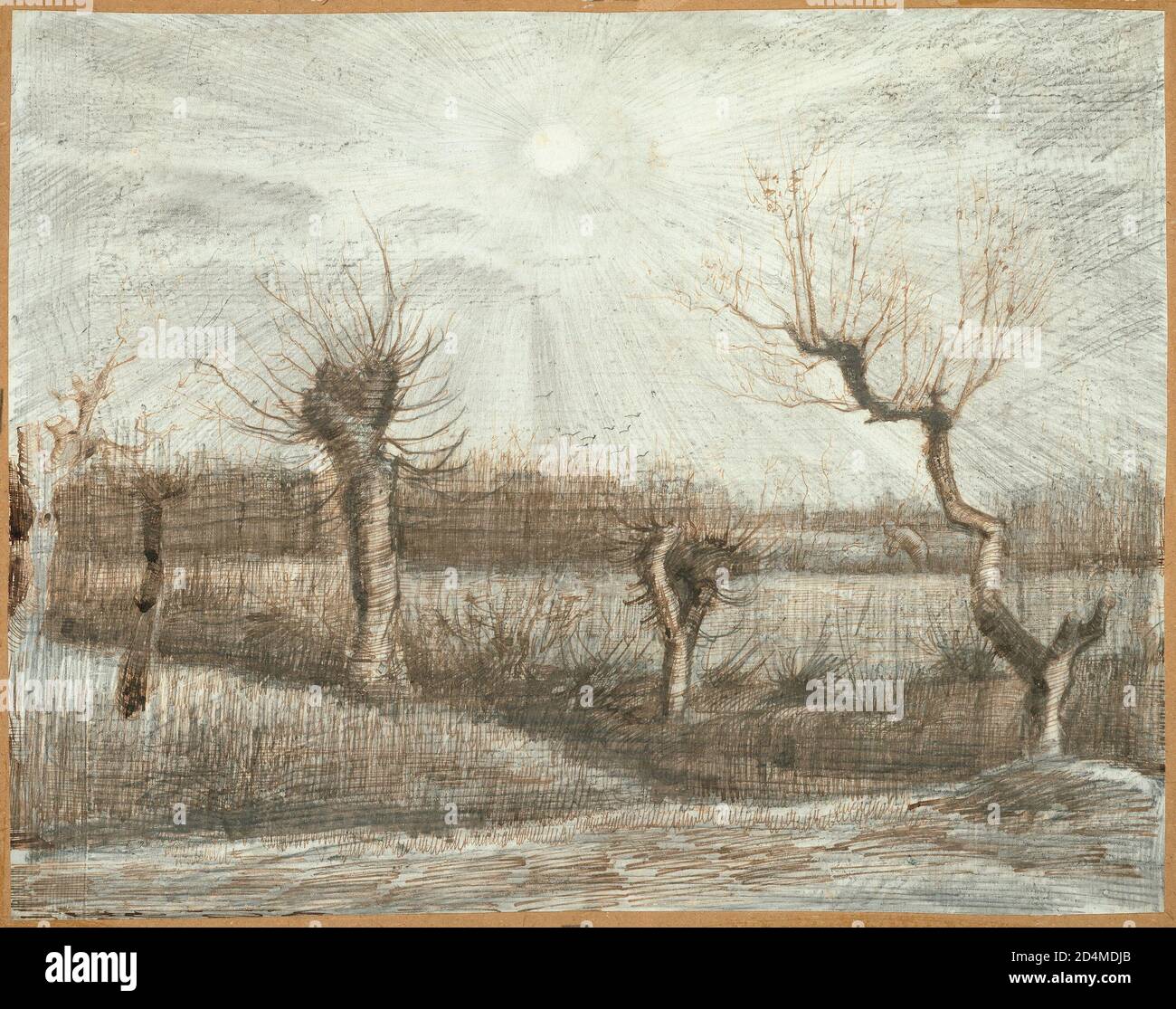 Art du XIXe siècle - Tetards (Pollards) ; Date : 1884 - Vincent van Gogh - Néerlandais ; 1853-1890 Banque D'Images