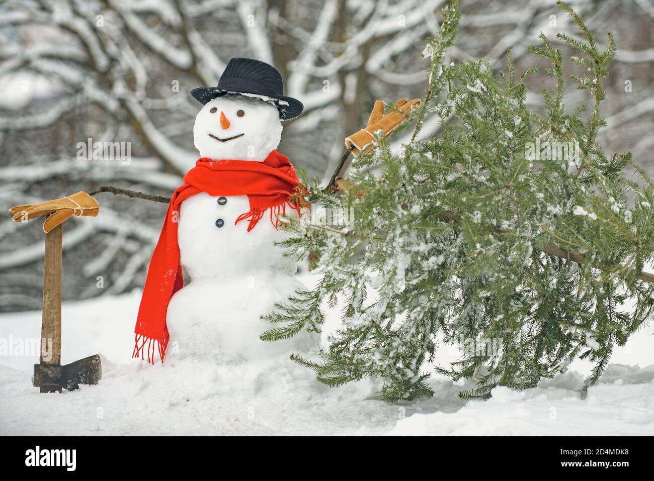 Bonhomme de neige - sapin de bûcheron sur fond de neige blanche. Le matin  avant Noël. L'homme de neige porte l'arbre de Noël dans le bois. Drôle  Photo Stock - Alamy