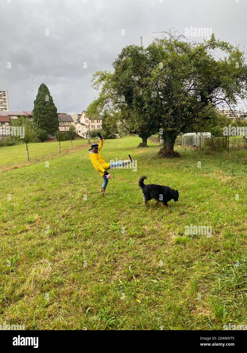 Bonne femme en imperméable jaune et bottes de pluie avec motif jaguar jouant avec un chien le jour de la pluie en automne. Banque D'Images