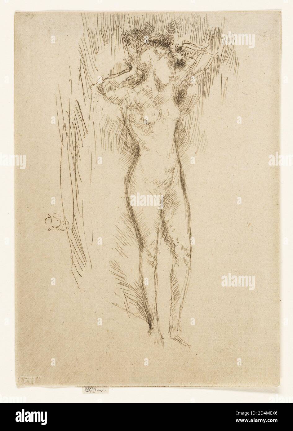 Gravure avec point sec à l'encre noire sur papier crème Banque D'Images