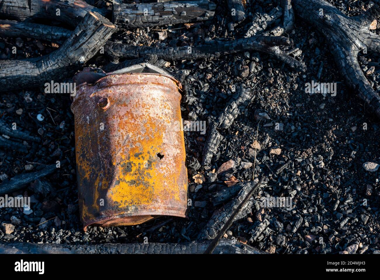 Reste d'un incendie. Branches d'arbre brûlées. Bois carbonisé et fissuré,. Cendres. Boîte en étain avec trou Banque D'Images