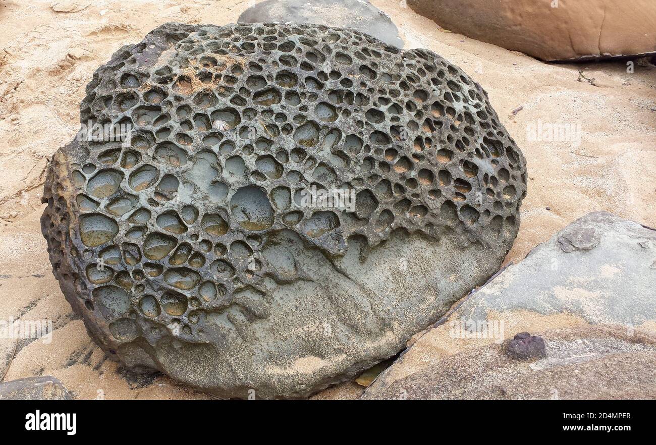Un grand rocher avec beaucoup de trous trouvés sur la plage Banque D'Images