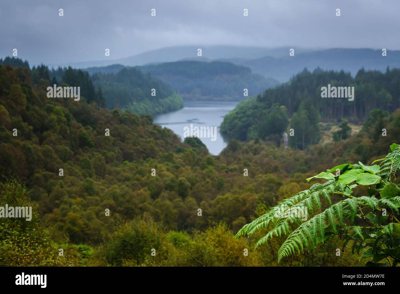 Paysage naturel au Loch Lomond et au parc national des Trossachs par temps pluvieux, Highlands, Écosse, Royaume-Uni Banque D'Images