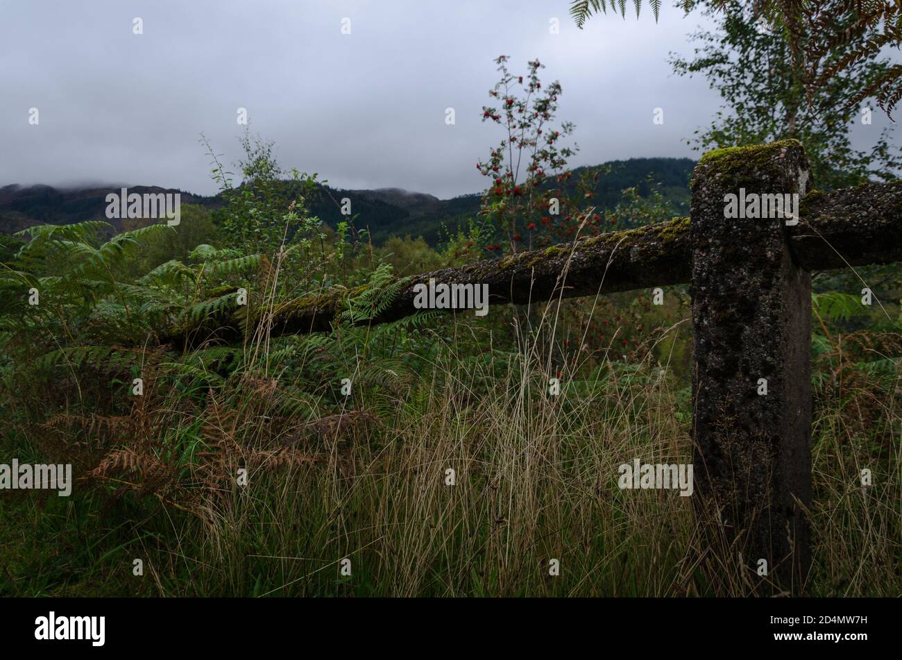 Paysage naturel au Loch Lomond et au parc national des Trossachs par temps pluvieux, Highlands, Écosse, Royaume-Uni Banque D'Images