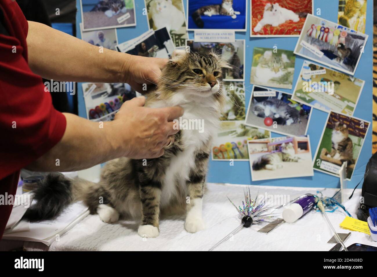 chat saint paul