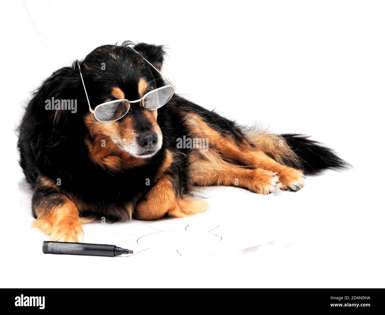 Dessin chien Banque D'Images