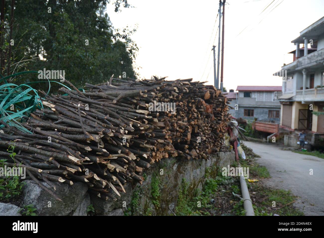 Bois de feu conservé pendant la saison d'hiver dans un village de la vallée externe de Katmandou, au Népal. Banque D'Images