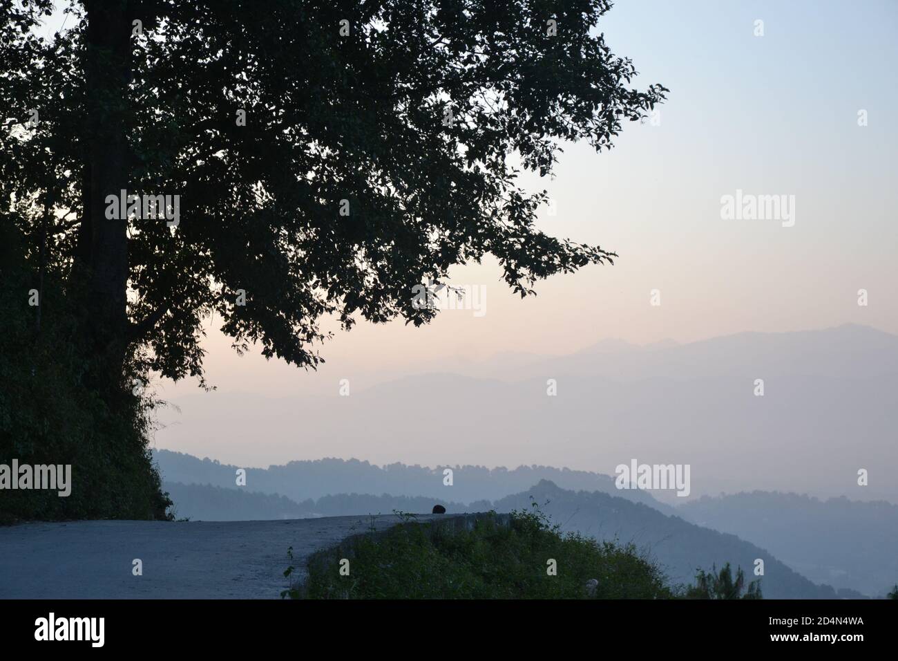 La nature à son meilleur. Nuages, arbres, collines, forêt, greenary, ciel bleu et bien plus encore. Banque D'Images