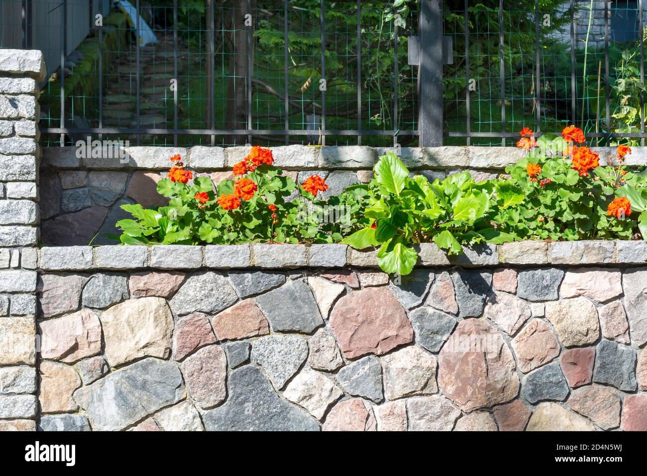 Clôture en pierre naturelle sur la rue de la ville en plein soleil. Des fleurs et des plantes rouges ornent le mur. Banque D'Images