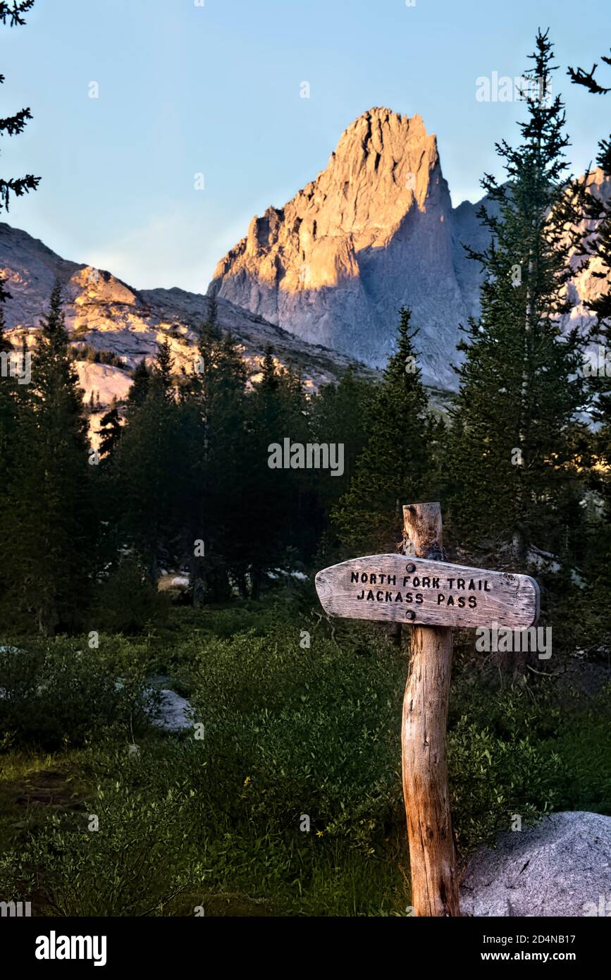 Trail to Jackass Pass, Wind River Range, Wyoming, États-Unis Banque D'Images