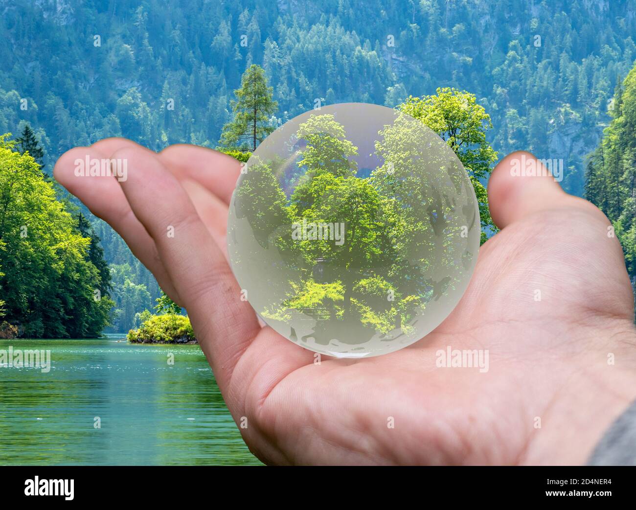 Le vert est une boule de verre de vie avec la main Banque D'Images