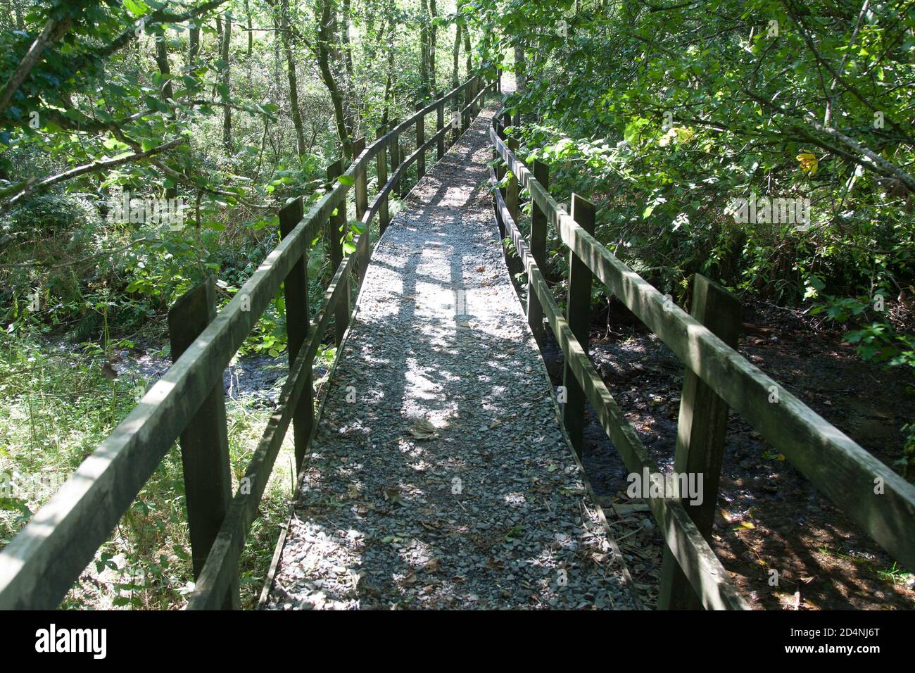 Vale de la légende arthurienne d'Avalon Banque D'Images