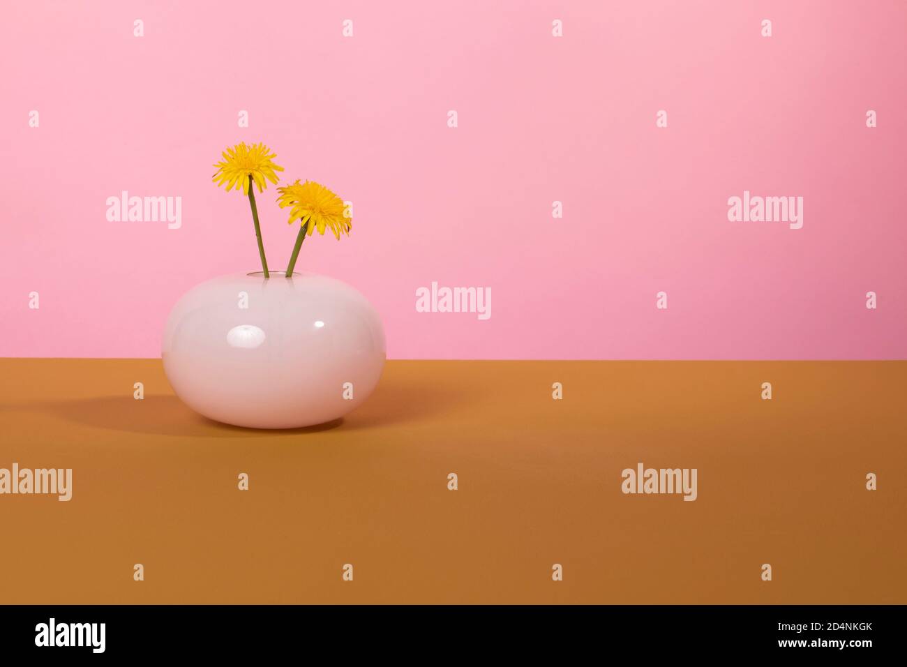 Fleurs de pissenlit jaune dans un vase en verre rond de couleur rose sur une surface marron et un fond rose. Décor optimiste, édifiant et happ Banque D'Images