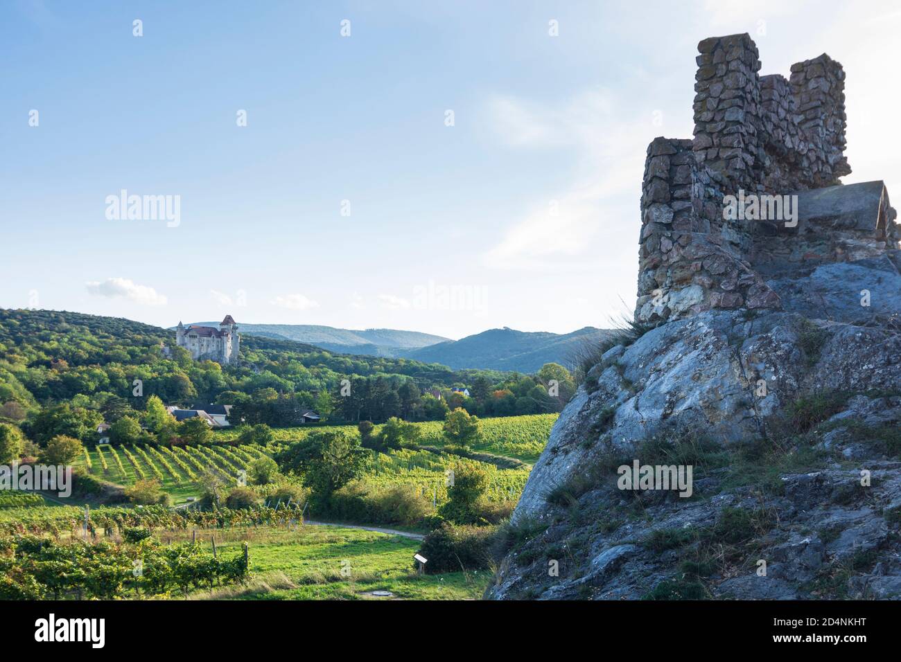 Maria Enzersdorf: colline Rauchkogel, ruine, Château du Liechtenstein, vignoble de Wienerwald, Bois de Vienne, Niederösterreich, Basse-Autriche, Autriche Banque D'Images