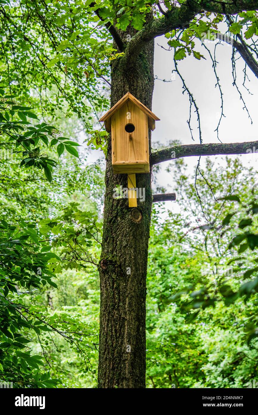 concept de protection de la nature, maison d'oiseaux faite à la main pour les oiseaux accrochés à un arbre Banque D'Images
