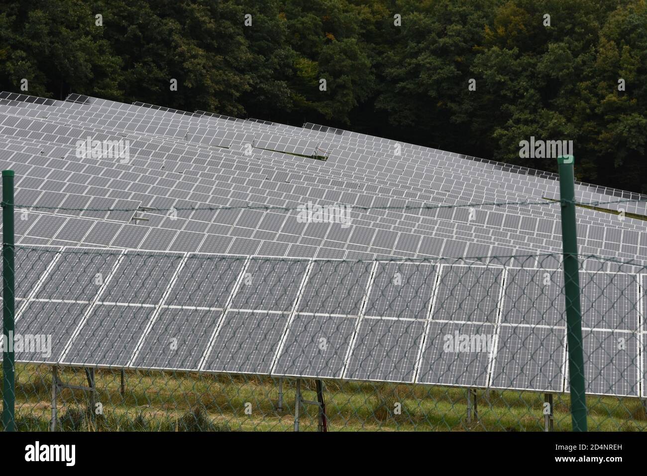 Panneaux solaires placés en gros plan sur un pré en rangées denses à Zarnovica, ville de district en Slovaquie, Europe. Un exemple d'utilisation des ressources renouvelables. Banque D'Images