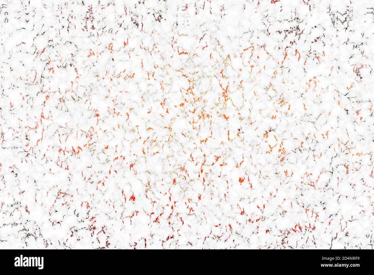 décoration luxueuse en granit minéral rouge doré et marbre blanc arrière-plan Banque D'Images