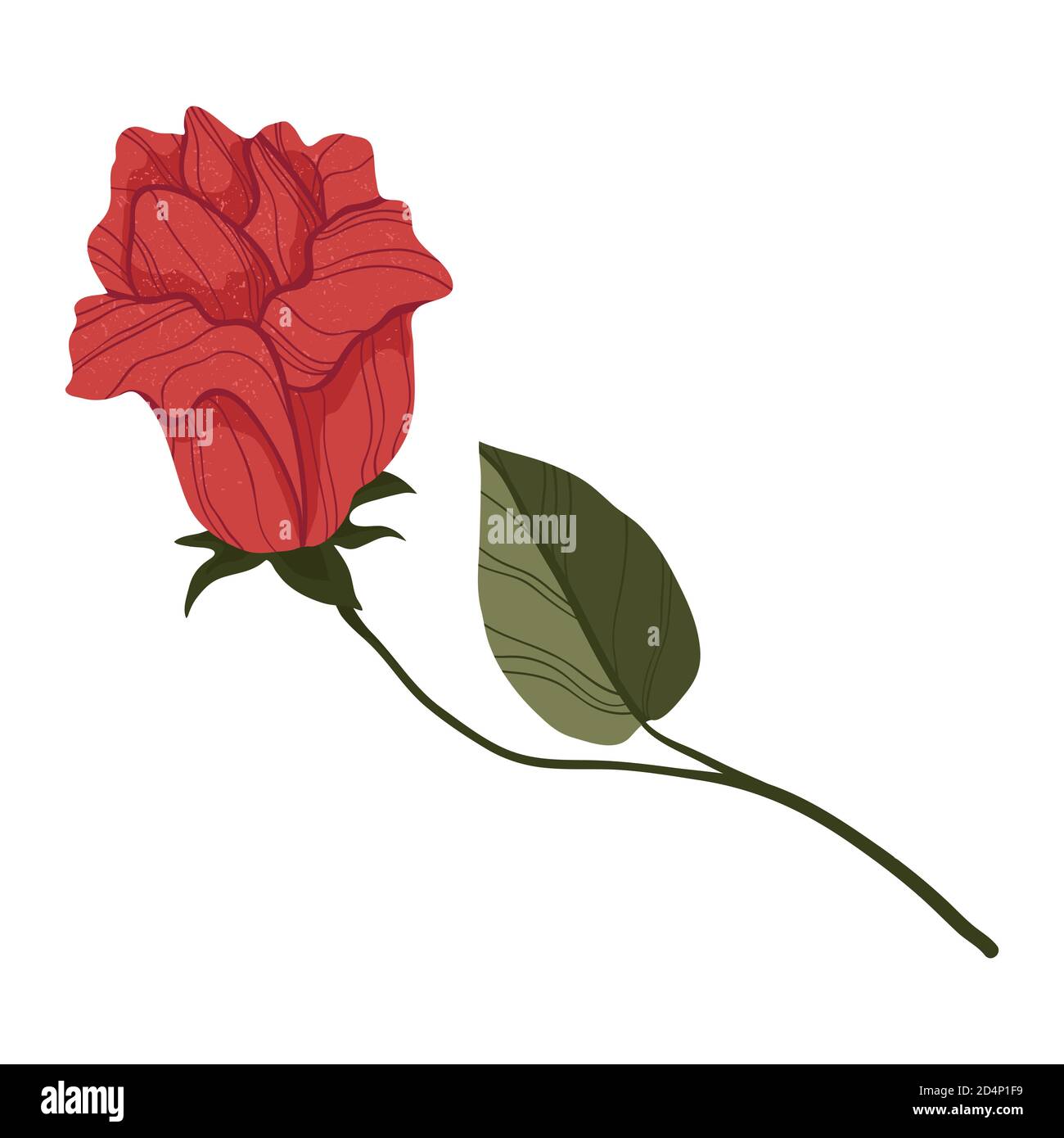 Une rose rouge dans un style de dessin animé plat. Isolé sur blanc. Rose rouge fleur botanique concept de l'amour. Pour le Web, les autocollants, les bannières ou l'impression. Illustration de Vecteur