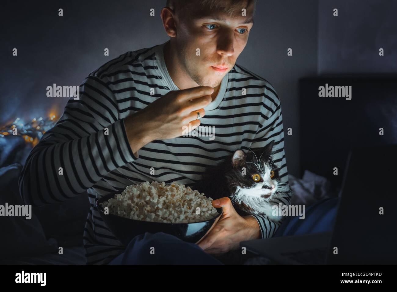 Film Movie Pet Cat Banque D Image Et Photos Alamy