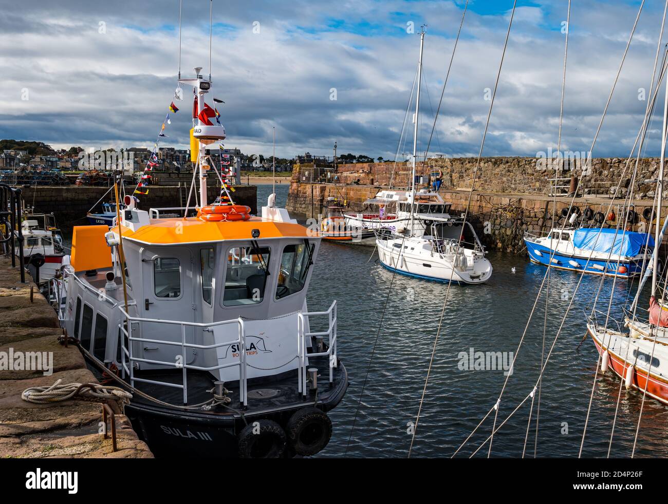 North Berwick, East Lothian, Écosse, Royaume-Uni, 10 octobre 2020. Météo au Royaume-Uni : soleil et nouveau bateau touristique. Sula III remplace Sula II et est arrivé il y a quelques jours décoré de pennants colorés, il a un système gyro sophistiqué dans sa coque qui lui permet de gérer la houle dans le Firth extérieur de Forth. Il offrira aux visiteurs un service de ferry pour Anstruther ainsi que des excursions en bateau vers les îles. Sula III a été conçu par Murray Cormack Naval Architects à Argyll, et construit par Alutec Marine Ltd à Balcardine, près d'Oban; sa livraison a été retardée par la pandémie de Covid-19 Banque D'Images