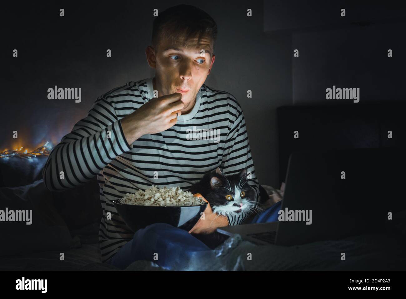 The Black Cat Film Banque D Image Et Photos Alamy The Black Cat Film Banque D Image Et Photos Alamy