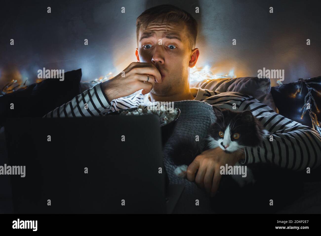 Film Movie Pet Cat Banque D Image Et Photos Alamy