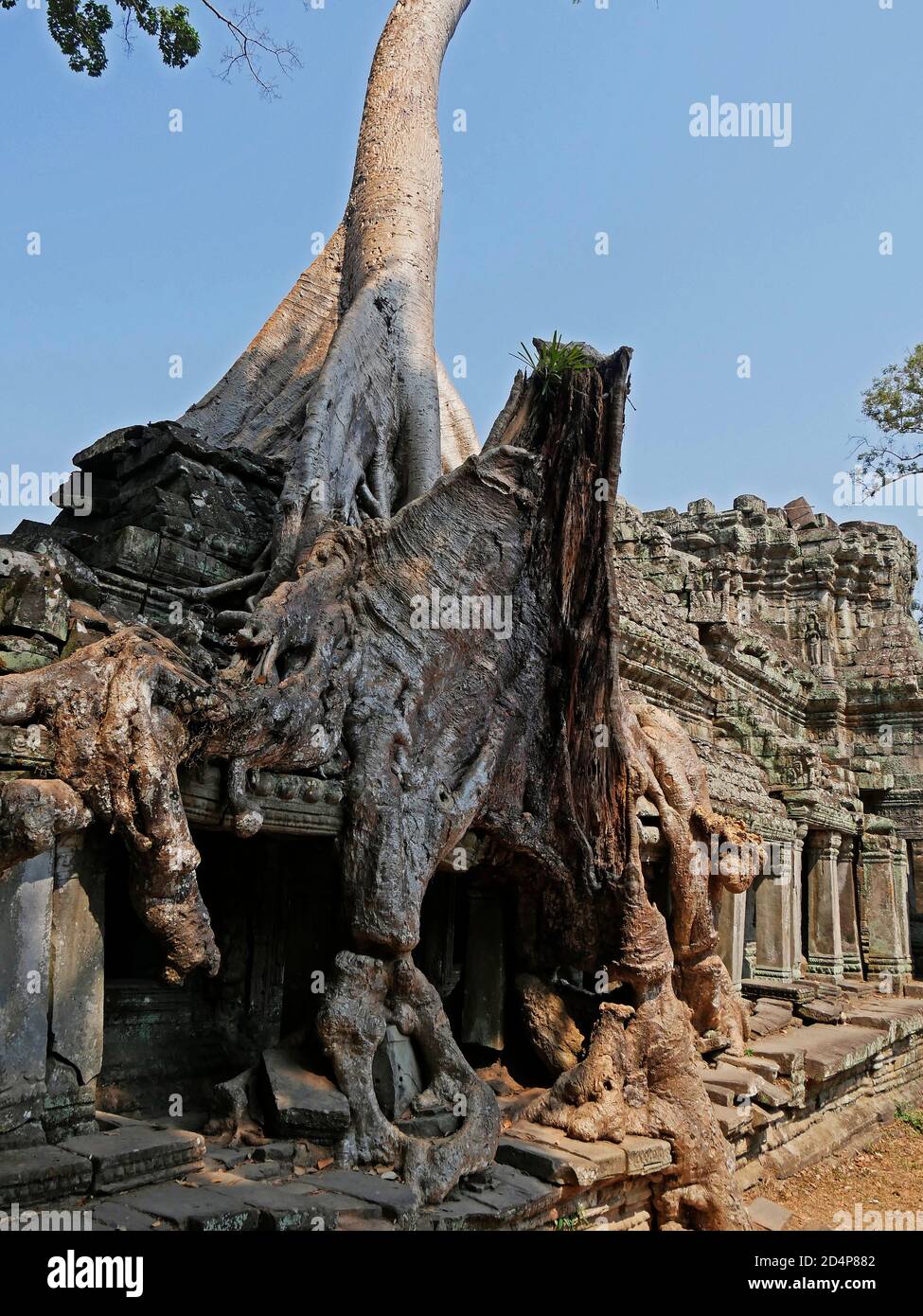 Temple Preah Khan, province de Siem Reap, site du complexe du Temple d'Angkor classé au patrimoine mondial de l'UNESCO en 1192, construit en 1191 par le roi Jayavarman VII, Banque D'Images