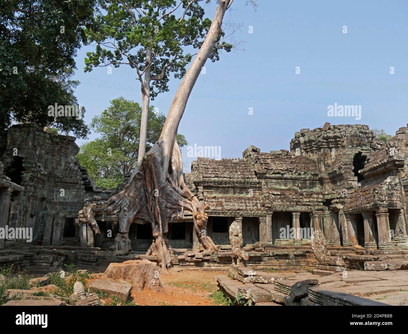 Temple Preah Khan, province de Siem Reap, site du complexe du Temple d'Angkor classé au patrimoine mondial de l'UNESCO en 1192, construit en 1191 par le roi Jayavarman VII, Banque D'Images
